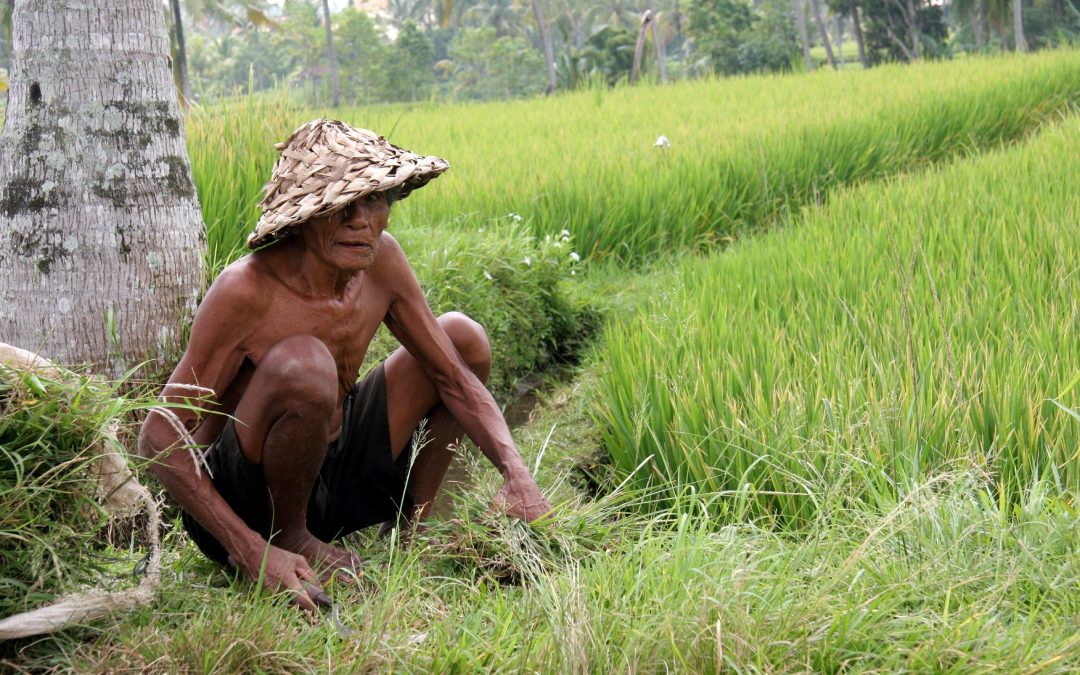 Rural governments in Indonesia should be responsible for local poverty