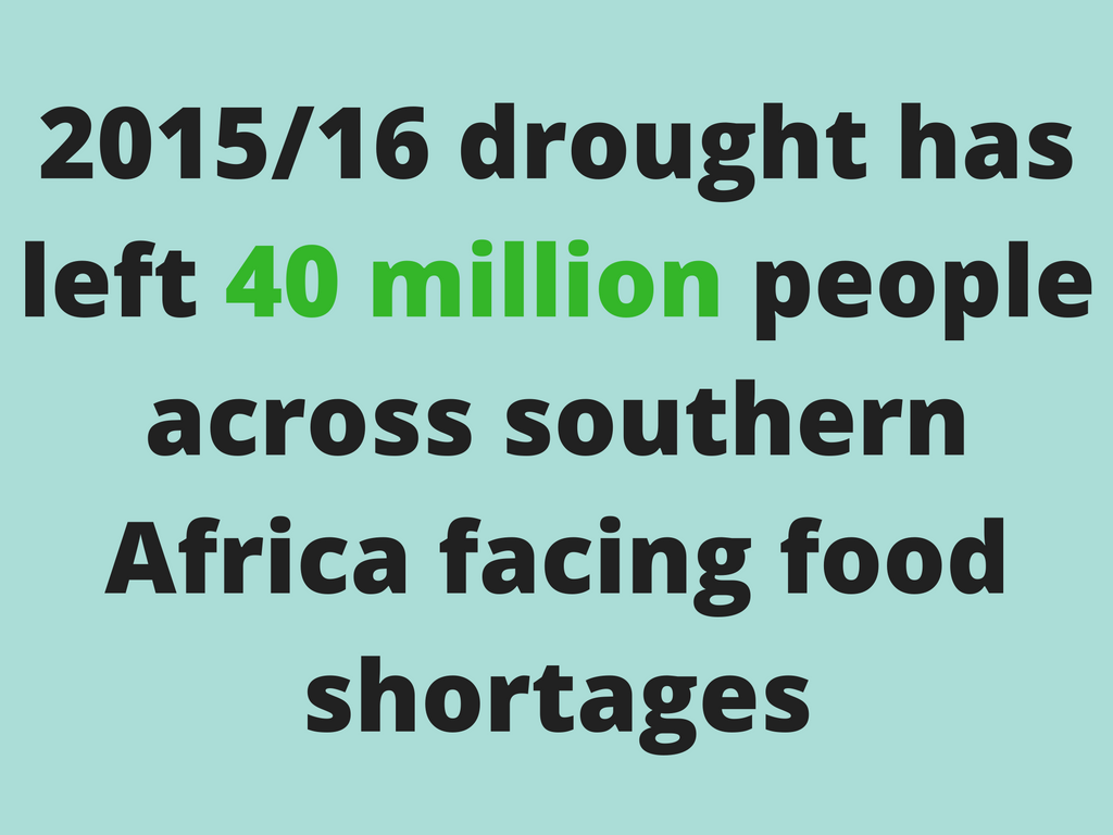 2015-16-drought-has-left-40-million-people-across-southern-africa-facing-food-shortages