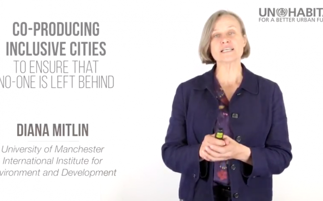 Diana Mitlin on co-producing sustainable cities
