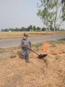 Farmer burning stubble Credit: Raschpal Singh and Hansa Singh