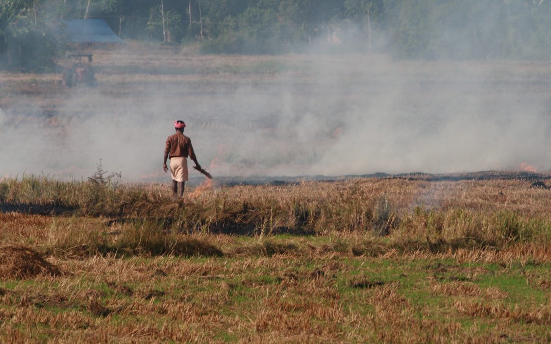 The trouble with stubble: The politics of cleaning India’s air