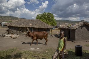 Child with cow in African Village