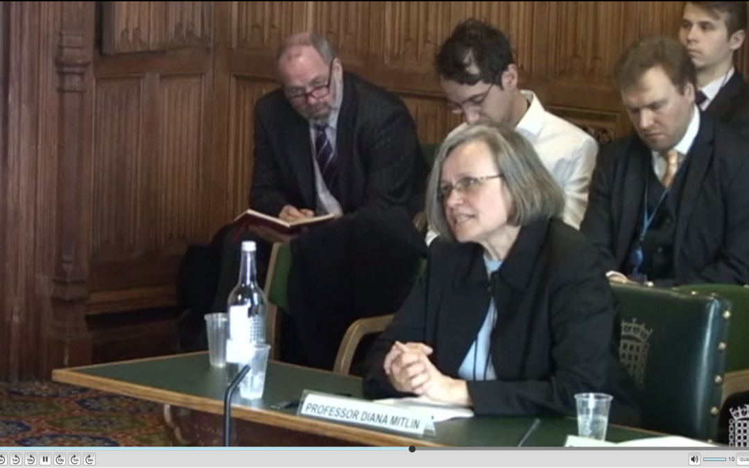 Prof Diana Mitlin presents evidence to Select Committee on overseas development assistance