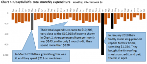 Chart 4: Ubaydullah's total monthly expenditure monthly, international $s