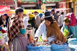 La Paz, Bolivia - August 30, 2008: Two indigenous women shopping on a vegetable market