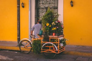 man standing near yellow trike with pots of flowers photo in Barrio de Santiago, Mérida, Mexico