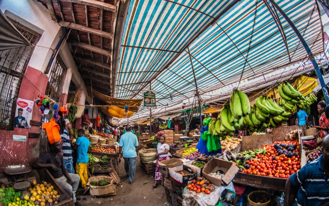 Shifting South: Horticulture regional value chains and decent work in Africa