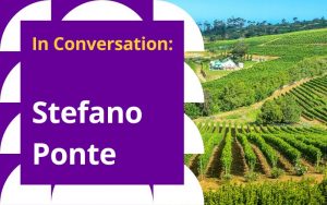 text: In conversation: Stefano Ponte. Image: South African vineyard
