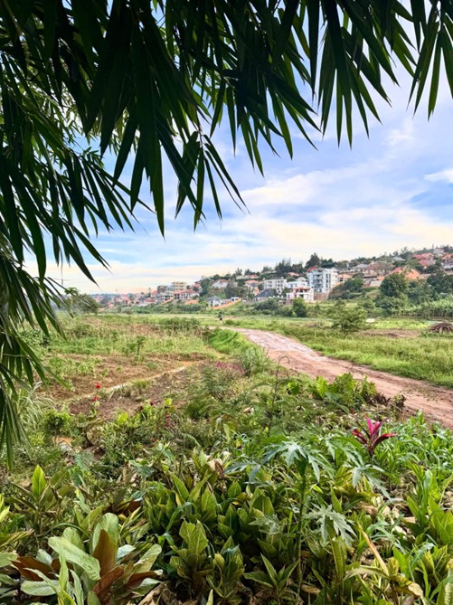 “We Keep Planting”: Seeds of Hope and Healing in Rwanda’s Thousand Hills