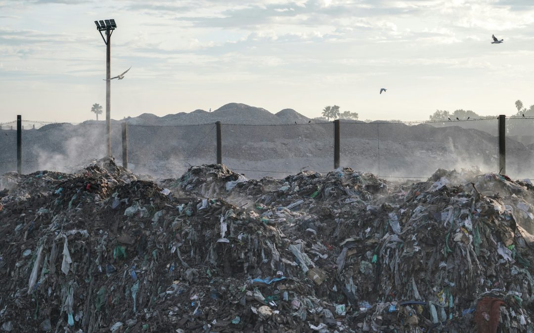 GDI Digest: Environmental Justice and the Role of Development Studies
