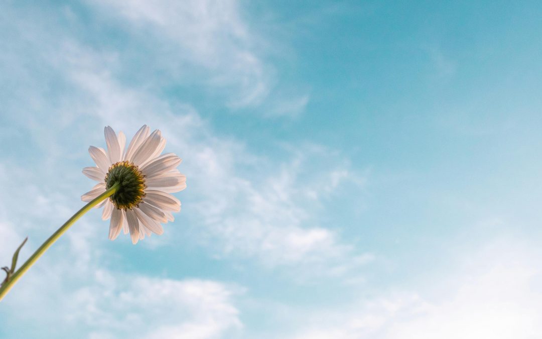 The role of hope in transforming places of despair into resilient spaces