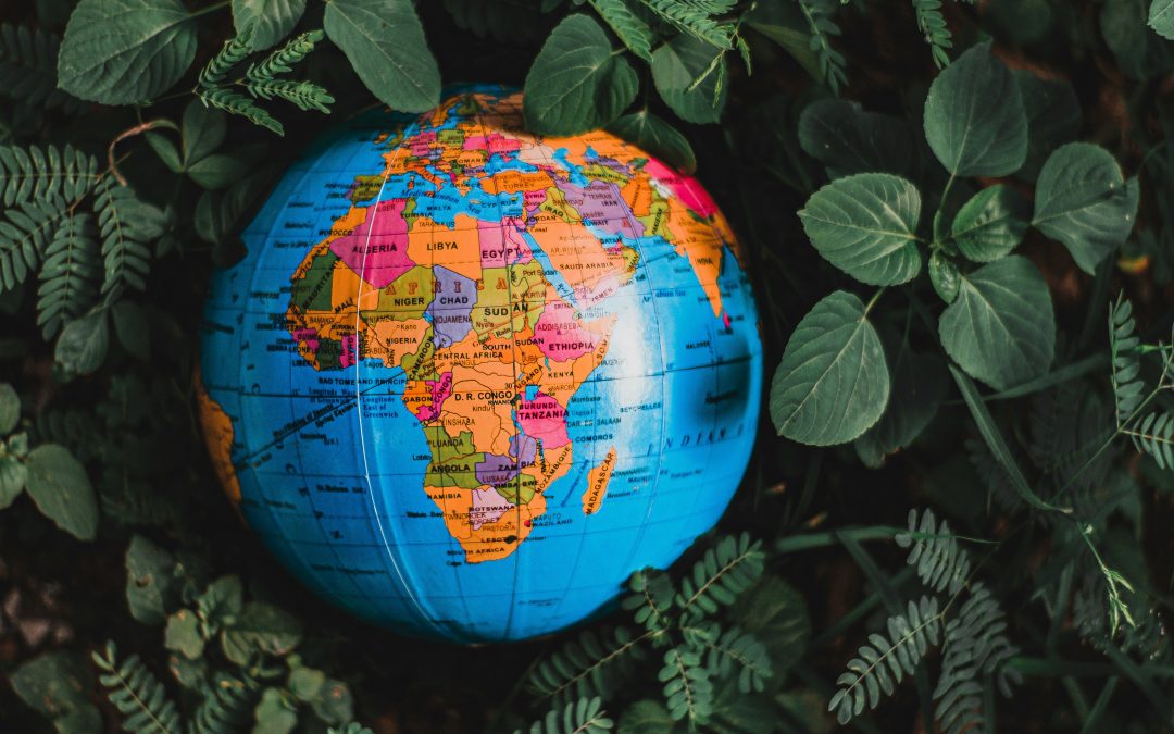 Africa: Peace and development in the age of transactional geopolitics