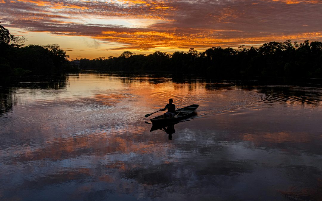 Call for Workshop Contributions: Resilient Amazon Futures: Strengthening Food, Water, Forest, and Land Governance for Sustainable Development