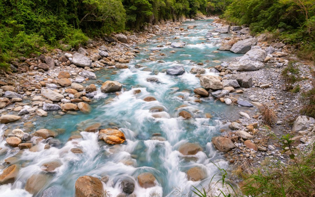 In Conversation: Uma Kothari on Stories of Place