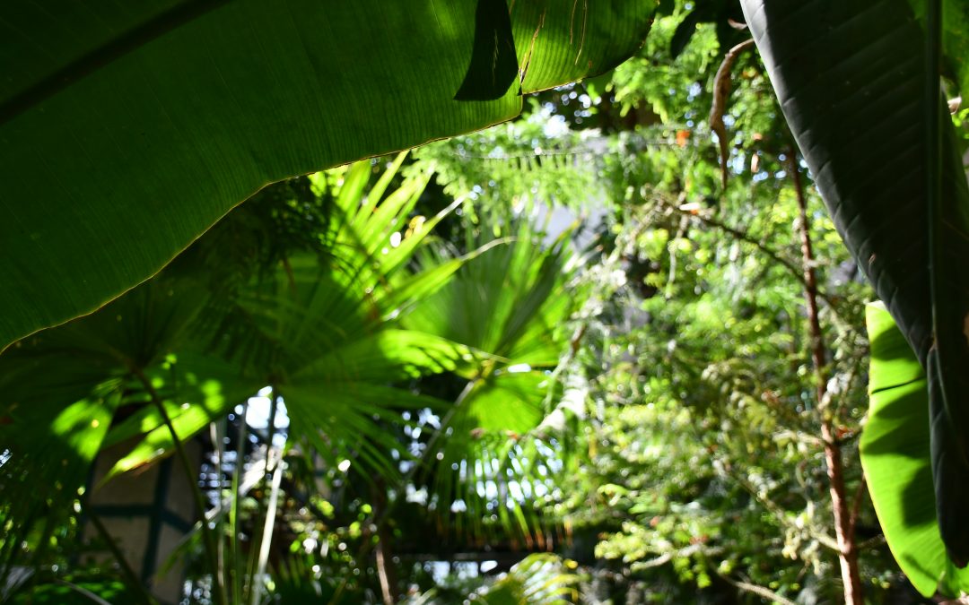 Interview: Heather Alberro on Terrestrial Ecotopias